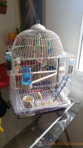 WhatsApp Image 2017-01-22 at 11.27.05.jpeg