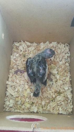 WhatsApp Image 2017-01-20 at 17.25.37.jpeg