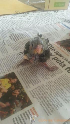 WhatsApp Image 2017-01-21 at 15.52.36.jpeg