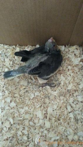 WhatsApp Image 2017-01-25 at 15.28.02.jpeg