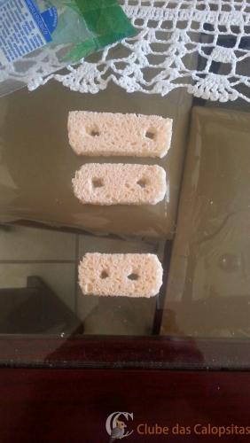 WhatsApp Image 2017-01-22 at 13.07.59.jpeg