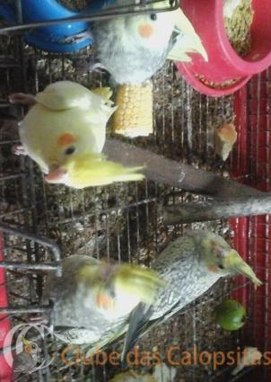 20170110_110918 2.jpg