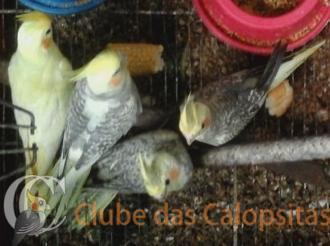 20170110_110850 2.jpg