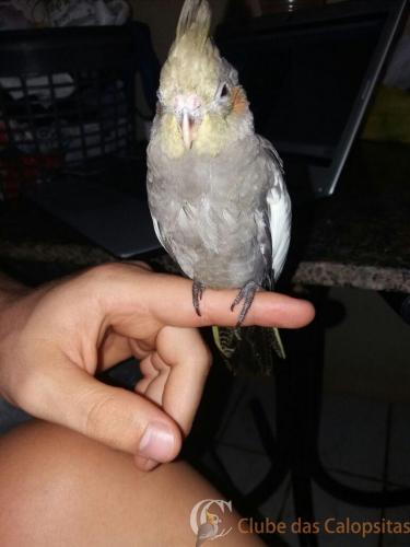 WhatsApp Image 2017-01-31 at 21.54.14.jpeg