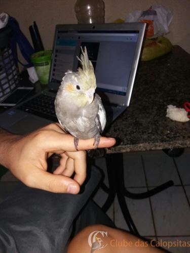 WhatsApp Image 2017-01-31 at 21.54.13.jpeg