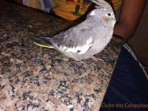 WhatsApp Image 2017-01-31 at 21.43.10.jpeg