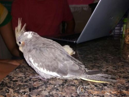 WhatsApp Image 2017-01-31 at 21.43.06.jpeg