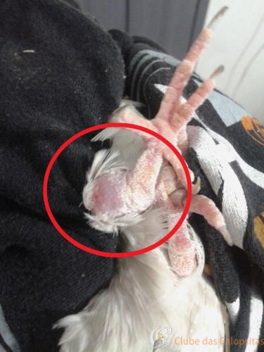 WhatsApp Image 2017-02-06 at 20.49.43 (1).jpeg