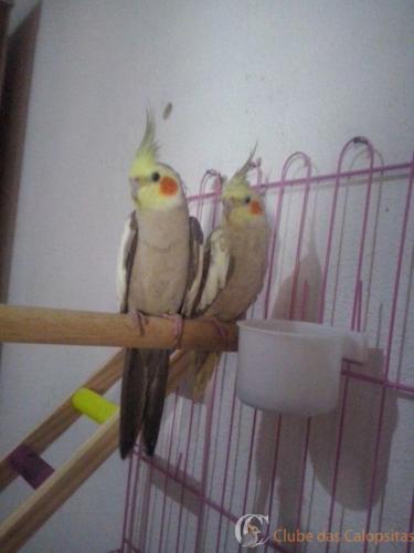 46859c6a-bc71-4043-b009-25dea23be787 (1).jpg