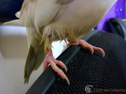 WhatsApp Image 2017-02-09 at 12.14.39.jpeg