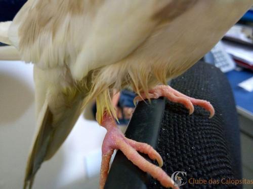 WhatsApp Image 2017-02-09 at 12.14.31.jpeg