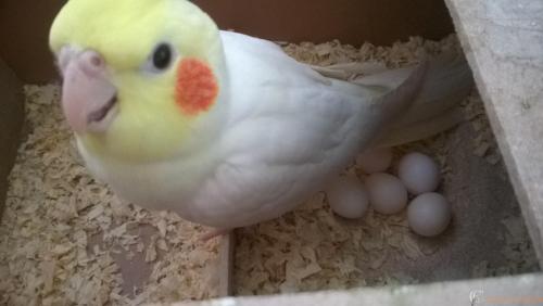 WP_20170211_11_56_51_Pro_LI (2).jpg