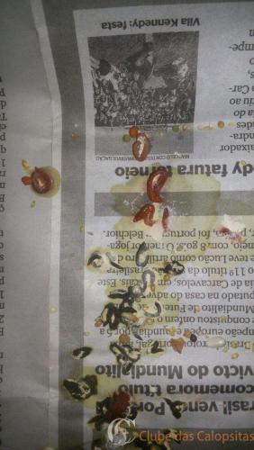 WhatsApp Image 2017-02-12 at 01.13.33.jpeg