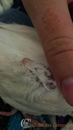 WhatsApp Image 2017-02-13 at 15.20.45 (1).jpeg