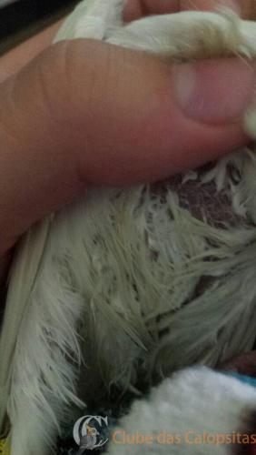 WhatsApp Image 2017-02-13 at 15.20.45 (2).jpeg