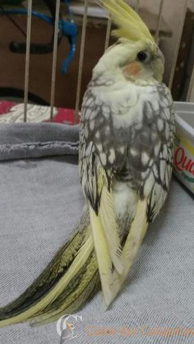 WhatsApp Image 2017-02-13 at 16.36.37.jpeg