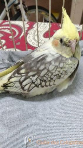 WhatsApp Image 2017-02-13 at 16.36.33.jpeg