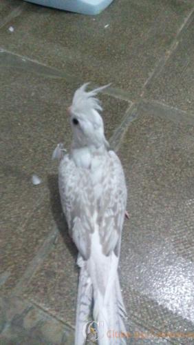 WhatsApp Image 2017-02-13 at 18.55.11.jpeg