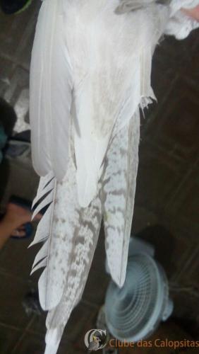 WhatsApp Image 2017-02-13 at 18.55.12 (1).jpeg