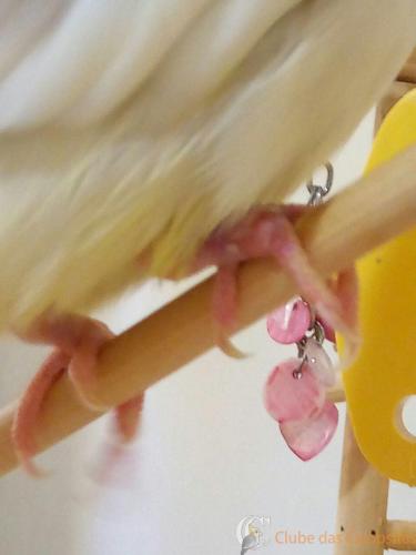 WhatsApp Image 2017-02-20 at 12.12.12.jpeg