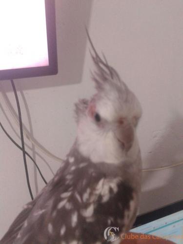 WhatsApp Image 2017-02-20 at 10.30.15.jpeg