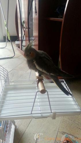 WhatsApp Image 2017-02-14 at 17.55.22.jpeg