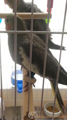 WhatsApp Image 2017-02-15 at 09.56.41.jpeg