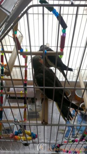 WhatsApp Image 2017-02-15 at 09.57.23.jpeg