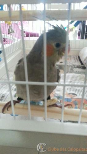 WhatsApp Image 2017-02-15 at 15.41.57.jpeg