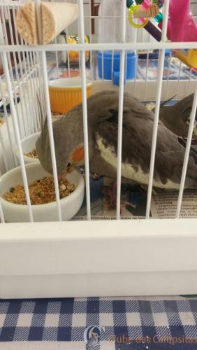 WhatsApp Image 2017-02-21 at 09.01.59 (1).jpeg