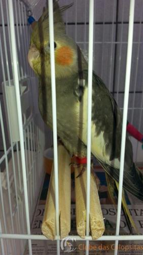 WhatsApp Image 2017-02-22 at 12.04.07.jpeg