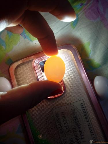 20170202_222137 - Cópia.jpg