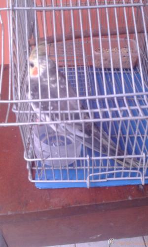 IMG-20170218-WA0043.jpeg