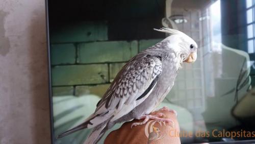 16998143_1349395141773723_4263645618600956590_n (1).jpg