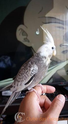 17022462_1349395115107059_3840302494204540322_n (1).jpg