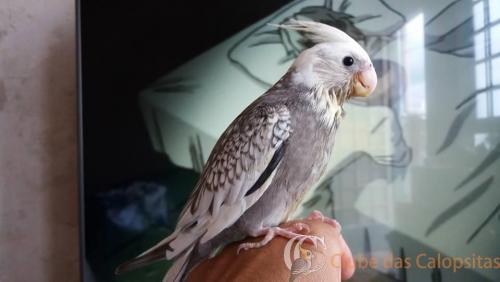 17098449_1349395128440391_8432548131515011581_n (1).jpg