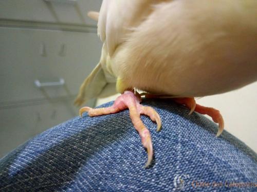 WhatsApp Image 2017-03-15 at 17.45.03.jpeg