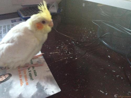 Arquivo_003 (3).jpeg