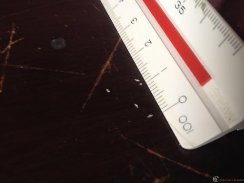 Arquivo_002 (5).jpeg