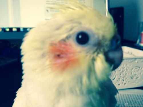 Arquivo_008 (2).jpeg