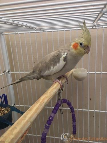 WhatsApp Image 2017-04-04 at 11.58.22.jpeg