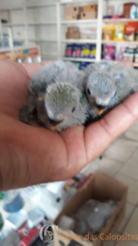 WhatsApp Image 2017-04-06 at 16.44.29 (1).jpeg