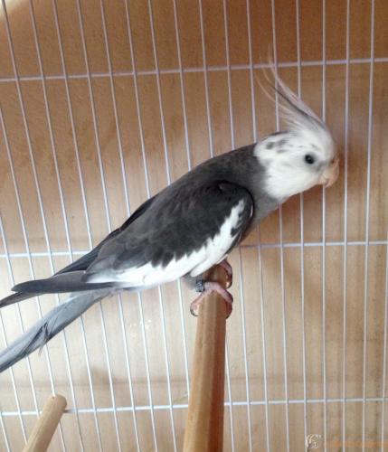 FullSizeRender (1).jpg