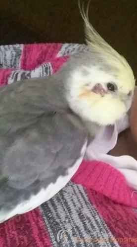 WhatsApp Image 2017-04-08 at 11.31.19.jpeg