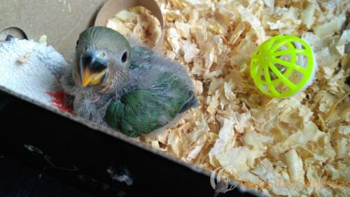 WhatsApp Image 2017-04-12 at 16.14.43.jpeg