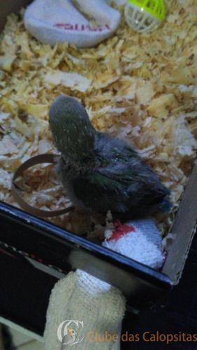 WhatsApp Image 2017-04-12 at 18.00.20.jpeg