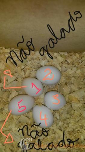 2017-04-10 21.09.28.jpg