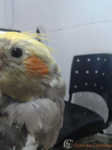 WhatsApp Image 2017-04-13 at 21.13.36 (1).jpeg