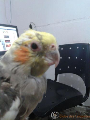 WhatsApp Image 2017-04-13 at 21.13.36.jpeg