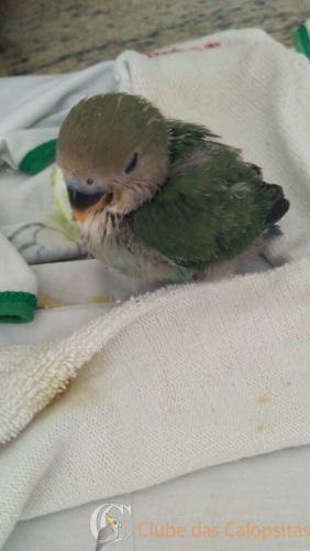 WhatsApp Image 2017-04-14 at 09.21.59.jpeg